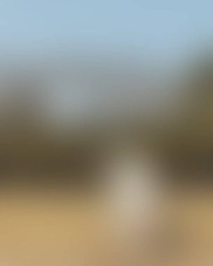 Renklerin soyut bulanık arkaplanı