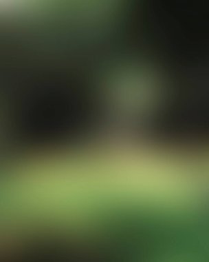 Renklerin soyut bulanık arkaplanı