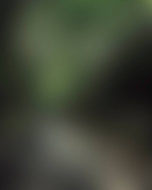 Renklerin soyut bulanık arkaplanı