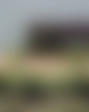 Renklerin soyut bulanık arkaplanı