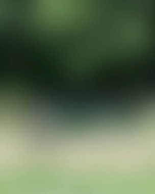 Renklerin soyut bulanık arkaplanı