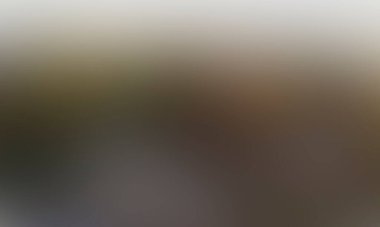 Renklerin soyut bulanık arkaplanı