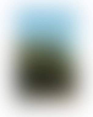 Renklerin soyut bulanık arkaplanı