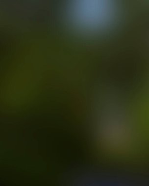 Renklerin soyut bulanık arkaplanı