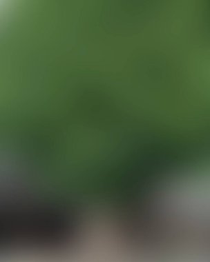 Renklerin soyut bulanık arkaplanı