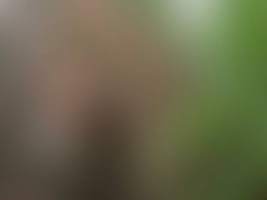 Renklerin soyut bulanık arkaplanı