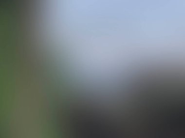 Renklerin soyut bulanık arkaplanı