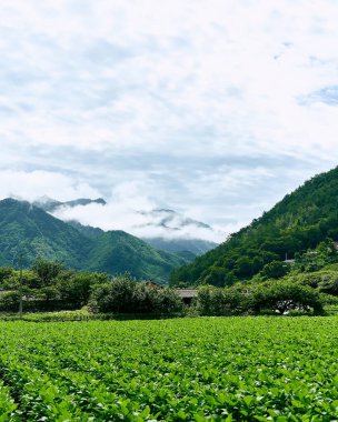Dağların güzel manzarası