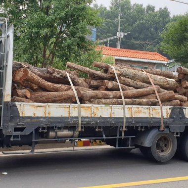 Büyük ahşap kütükleri olan büyük bir kamyonet.