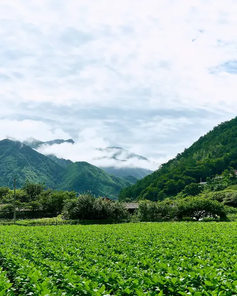 Dağların güzel manzarası