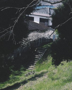 Şehrin güzel manzarası