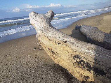 Güzel deniz manzarası