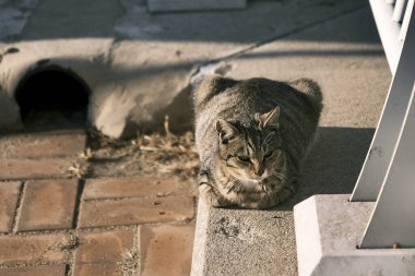 Barselona şehrinin manzarası