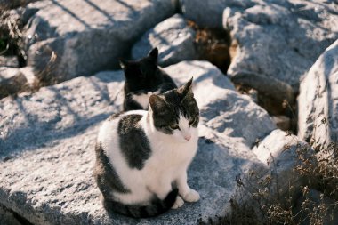 Barselona şehrinin manzarası