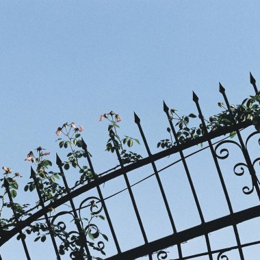 Barselona şehrinin manzarası