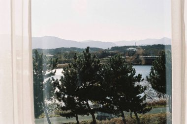 bir bardak su ile pencere