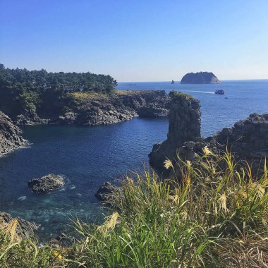 Deniz kıyısının güzel manzarası