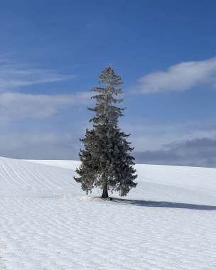Tokyo, Japonya - 17 Kasım, 2. 0 18: 00 Japonya 'daki Tokyo restoranını 17 Kasım, 2. 0.