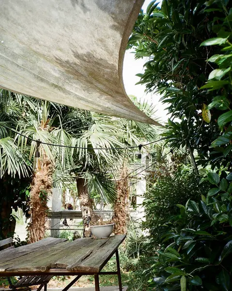 Altında masa olan bir bahçenin dikey görüntüsü.