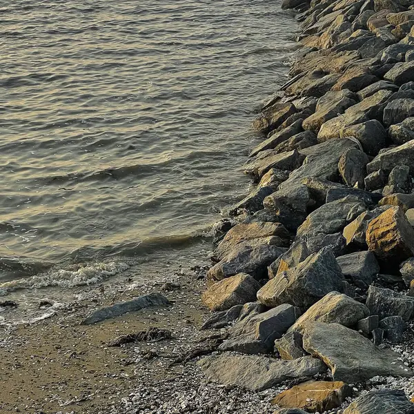 Sahildeki deniz dalgaları