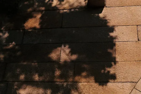 Bir sürü taşlı eski tuğla duvar.