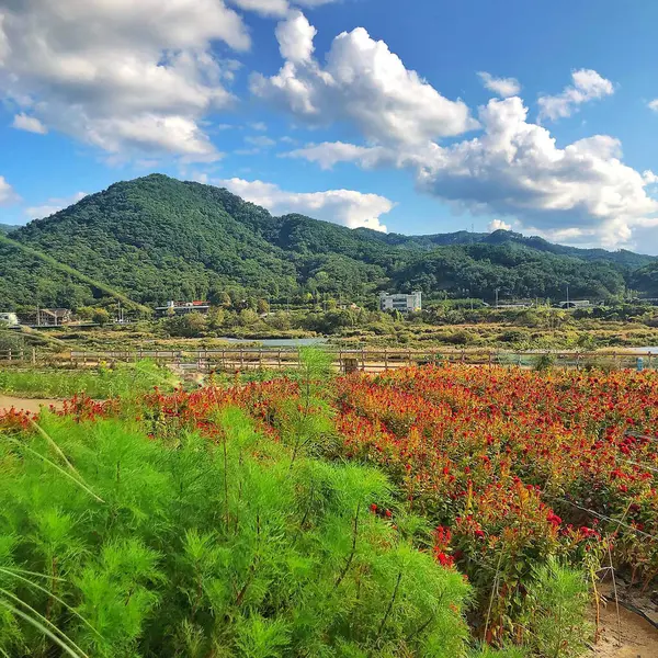 İsrail 'in kuzeyindeki dağların güzel manzarası