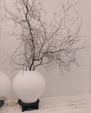 Güzel botanik fotoğrafı, doğal duvar kağıdı.