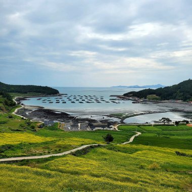 İsrail 'in kuzeyindeki Baltık Denizi' nin güzel manzarası