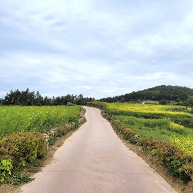 Parkın güzel manzarası