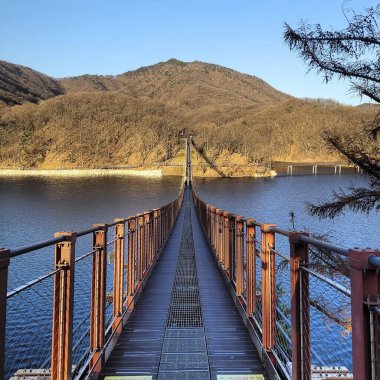 Gölün üzerindeki köprüyü görüyorum.