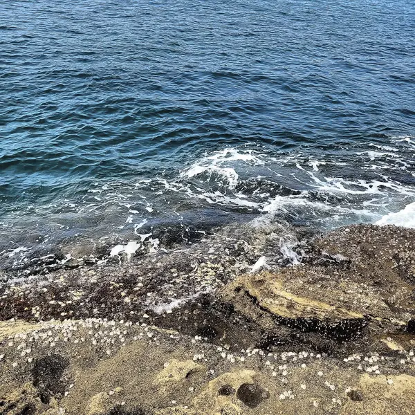 Güzel deniz kıyısı. doğa arkaplanı