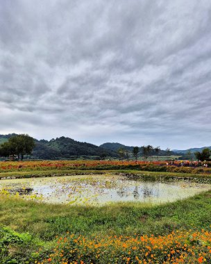 Dağlarda gölü olan güzel bir manzara.