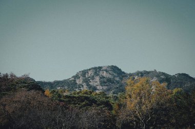 Dağların güzel manzarası