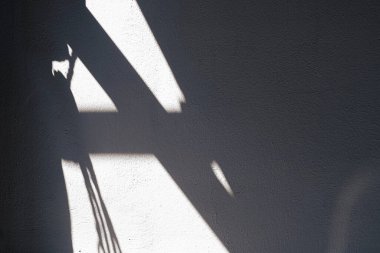 Gölgelerin gölgesi evin duvarında.