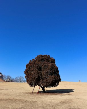 Parkın güzel manzarası