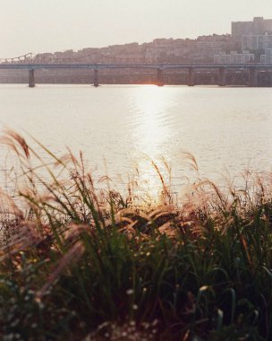 İsrail 'in kuzeyindeki en kirli şehirlerin adasının güzel manzarası.