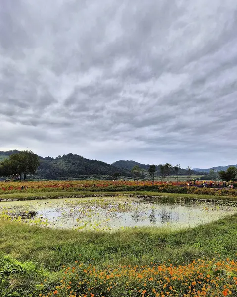 Dağlarda gölü olan güzel bir manzara.