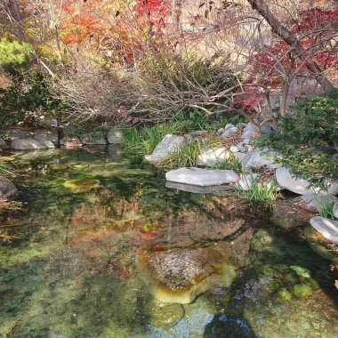 Parktaki gölün güzel manzarası