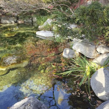 Parktaki nehrin güzel manzarası