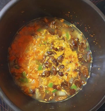 Baharatlı kızarmış pirinç, sebzeli kızarmış tavuk, kızarmış yumurta, baharat, soğan ve soğan fotoğrafı.