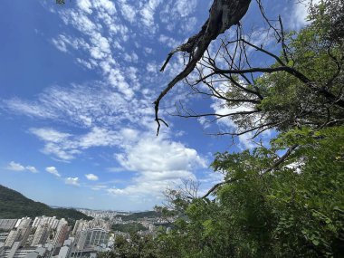 Barselona şehrinin manzarası