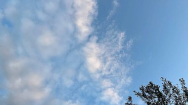 Doğanın güzel manzarası