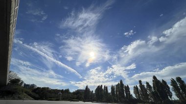 Sabahları parkın manzarası.