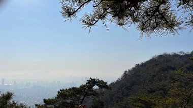 İsrail 'in kuzeyindeki Akdeniz adasının güzel manzarası.