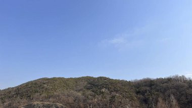 Ağacı ve mavi gökyüzü olan güzel bir manzara.