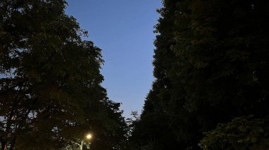 Şehrin güzel manzarası