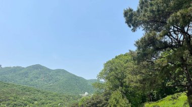 Dağlarda dağları olan güzel bir manzara.