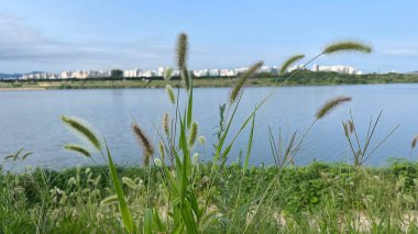 Doğanın güzel manzarası