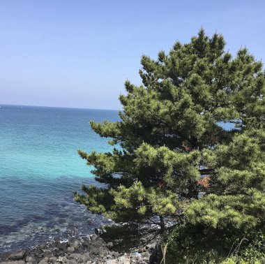 Güzel deniz manzarası