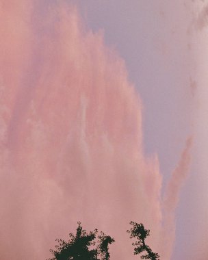 Ormanın güzel manzarası